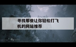 寻找那些让你轻松打飞机的网站推荐