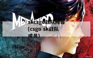 skcsgo战队阵容(csgo sk战队成员)