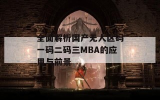 全面解析国产无人区码一码二码三MBA的应用与前景