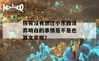 你有没有想过小东西没弄明白的事情是不是也算文章呢？