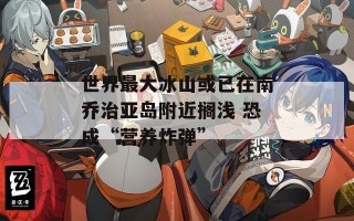 世界最大冰山或已在南乔治亚岛附近搁浅 恐成“营养炸弹”