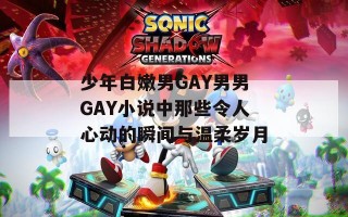 少年白嫩男GAY男男GAY小说中那些令人心动的瞬间与温柔岁月