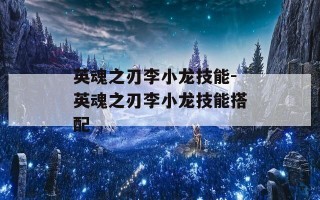 英魂之刃李小龙技能-英魂之刃李小龙技能搭配