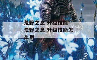 荒野之息 升级技能—荒野之息 升级技能怎么用