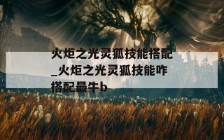 火炬之光灵狐技能搭配_火炬之光灵狐技能咋搭配最牛b