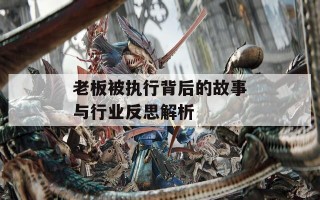 老板被执行背后的故事与行业反思解析