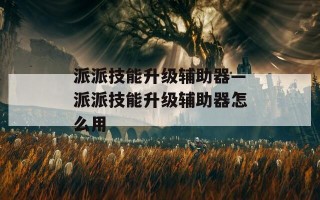 派派技能升级辅助器—派派技能升级辅助器怎么用