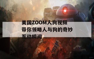 美国ZOOM人狗视频带你领略人与狗的奇妙互动瞬间