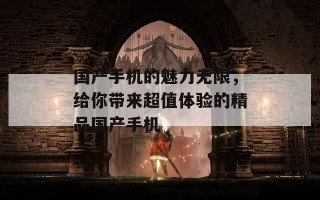 国产手机的魅力无限，给你带来超值体验的精品国产手机