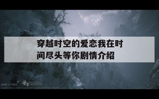 穿越时空的爱恋我在时间尽头等你剧情介绍