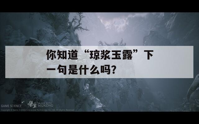 你知道“琼浆玉露”下一句是什么吗？-第1张图片-一粒游戏网