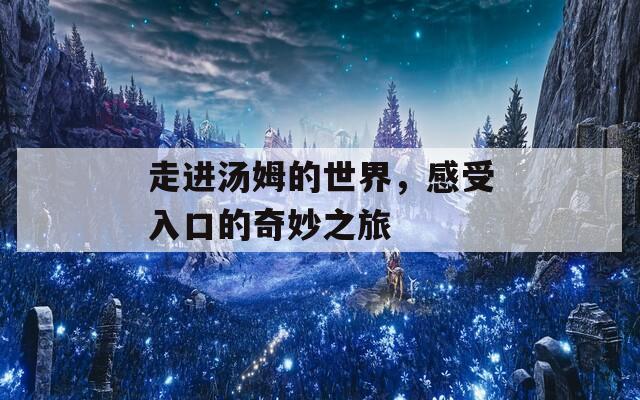 走进汤姆的世界，感受入口的奇妙之旅-第1张图片-一粒游戏网