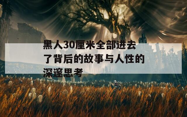 黑人30厘米全部进去了背后的故事与人性的深邃思考-第1张图片-一粒游戏网