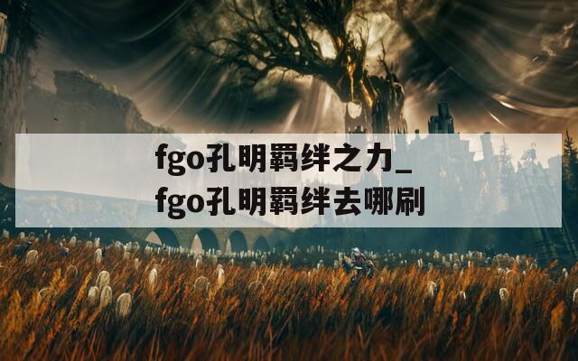 fgo孔明羁绊之力_fgo孔明羁绊去哪刷-第1张图片-一粒游戏网