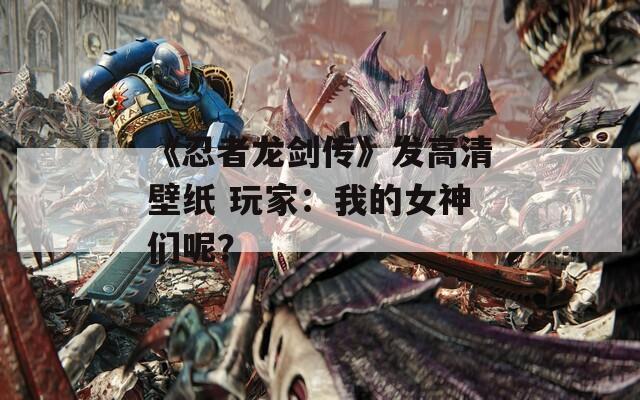 《忍者龙剑传》发高清壁纸 玩家：我的女神们呢？-第1张图片-一粒游戏网