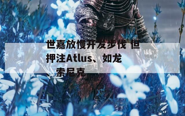 世嘉放慢开发步伐 但押注Atlus、如龙、索尼克-第1张图片-一粒游戏网