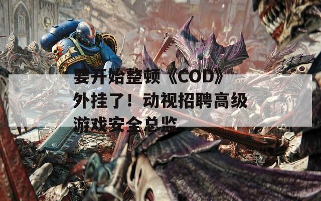 要开始整顿《COD》外挂了！动视招聘高级游戏安全总监-第1张图片-一粒游戏网