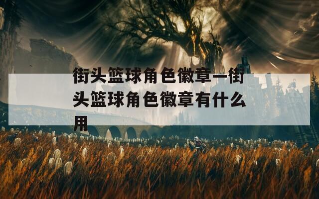 街头篮球角色徽章—街头篮球角色徽章有什么用-第1张图片-一粒游戏网